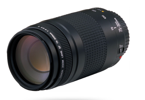 USED (6) - Canon 75-300mm f/4-5.6 EF II – Gosselinphoto