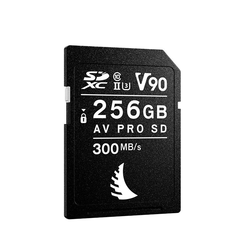 ANGELBIRD CARTE SDXC AV PRO MK2 V90 256GB | Gosselin Photo