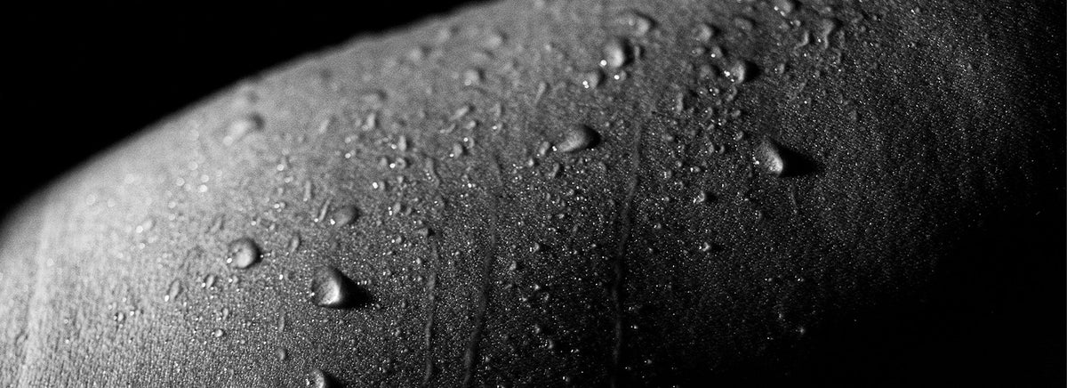 Comment faire un projet de macrophotographie facile à la maison