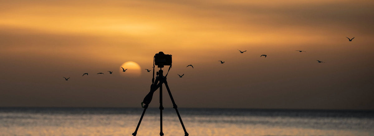 Les 7 accessoires essentiels en photo - Daniel Dupont – Gosselinphoto