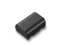 Pile DMW-BLF19 pour Panasonic