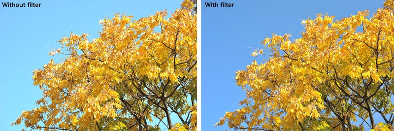 40.5mm REALPRO MC Circular Polarizing Filter