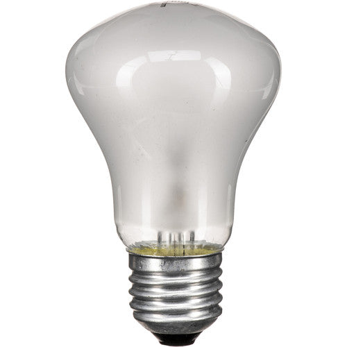 Ampoule de Modélisation 100w/90v pour D-Lite RX, BRX