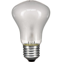 Ampoule de Modélisation 100w/90v pour D-Lite RX, BRX