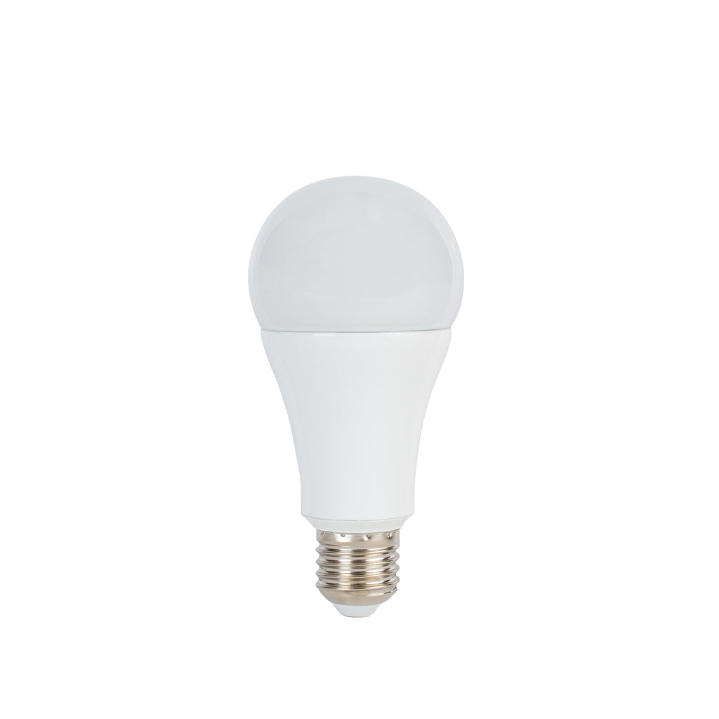 Ampoule LED 14w E27