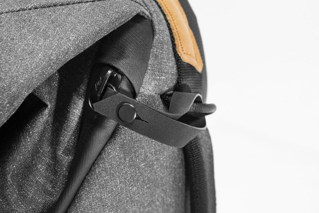 Everyday Backpack 20L V2 (Charcoal)