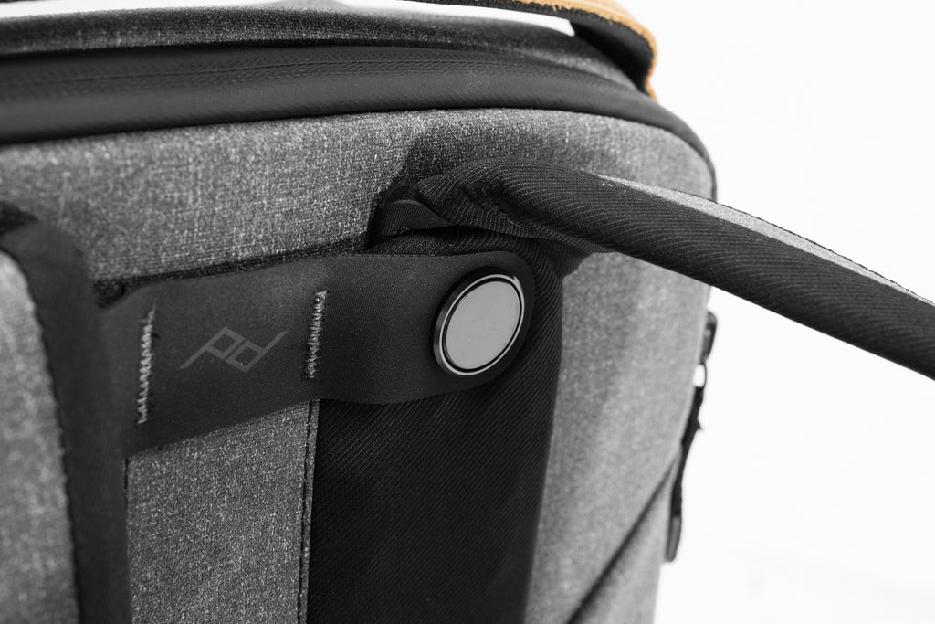 Everyday Backpack 20L V2 (Charcoal)