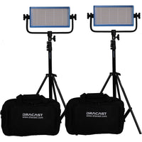 Dracast LED500 Pro Ensemble de 2 Lumières du Jour LED avec Monture V pour Pile et Trépieds (5600K)