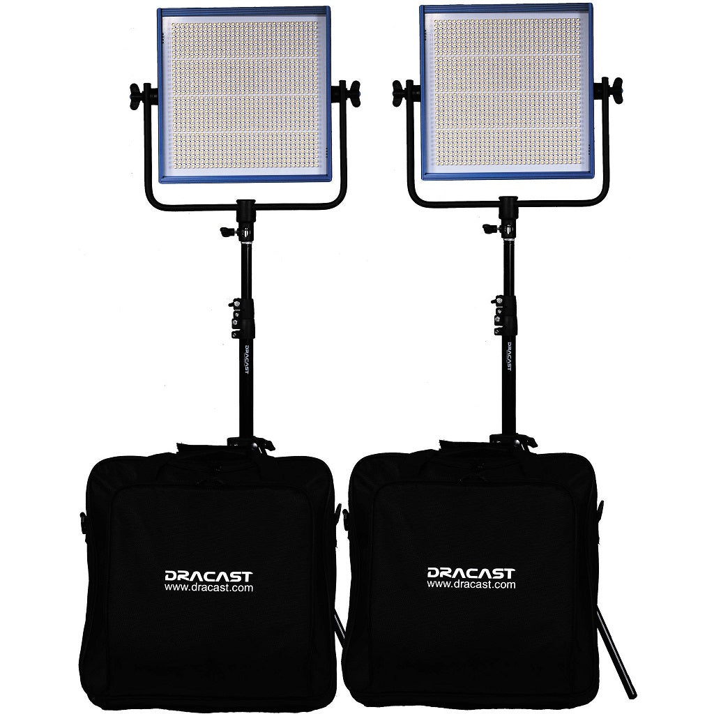 Dracast LED1000 Pro Ensemble de 2 Lumières du Jour LED avec Monture V pour Pile et Trépieds (5600K)