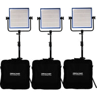 Dracast LED1000 Pro Ensemble de 3 Lumières du Jour LED avec Monture V pour Pile et Trépieds (5600K)