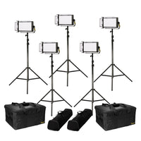 Lyra Ensemble 5 Lumières Bicolore LED avec Plaque Gold et Monture V pour Piles et Supports