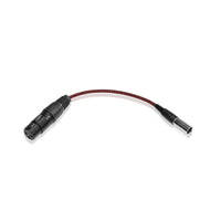 Mini XLR Male to XLR Female