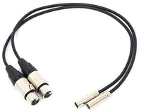Câbles Mini XLR à XLR 19.5po (Paquet de 2)