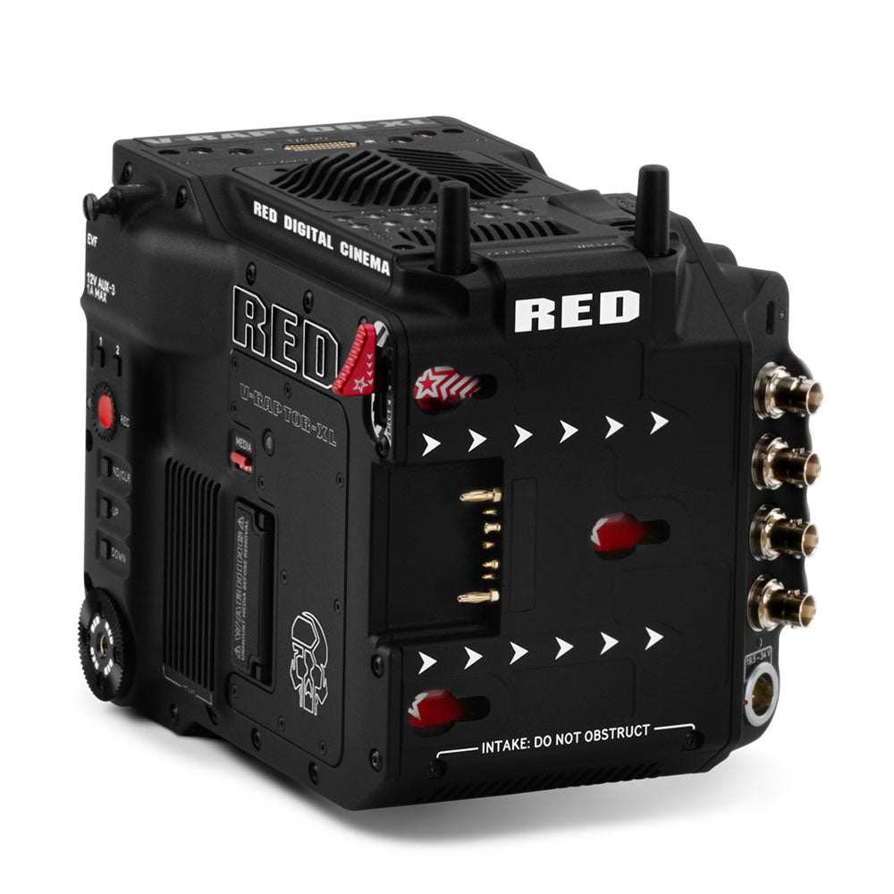 V-RAPTOR XL 8K VV (Monture Gold)