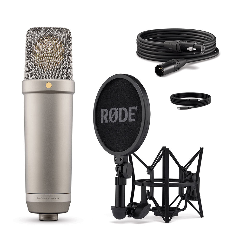 Microphone NT1 5e génération (Argent)