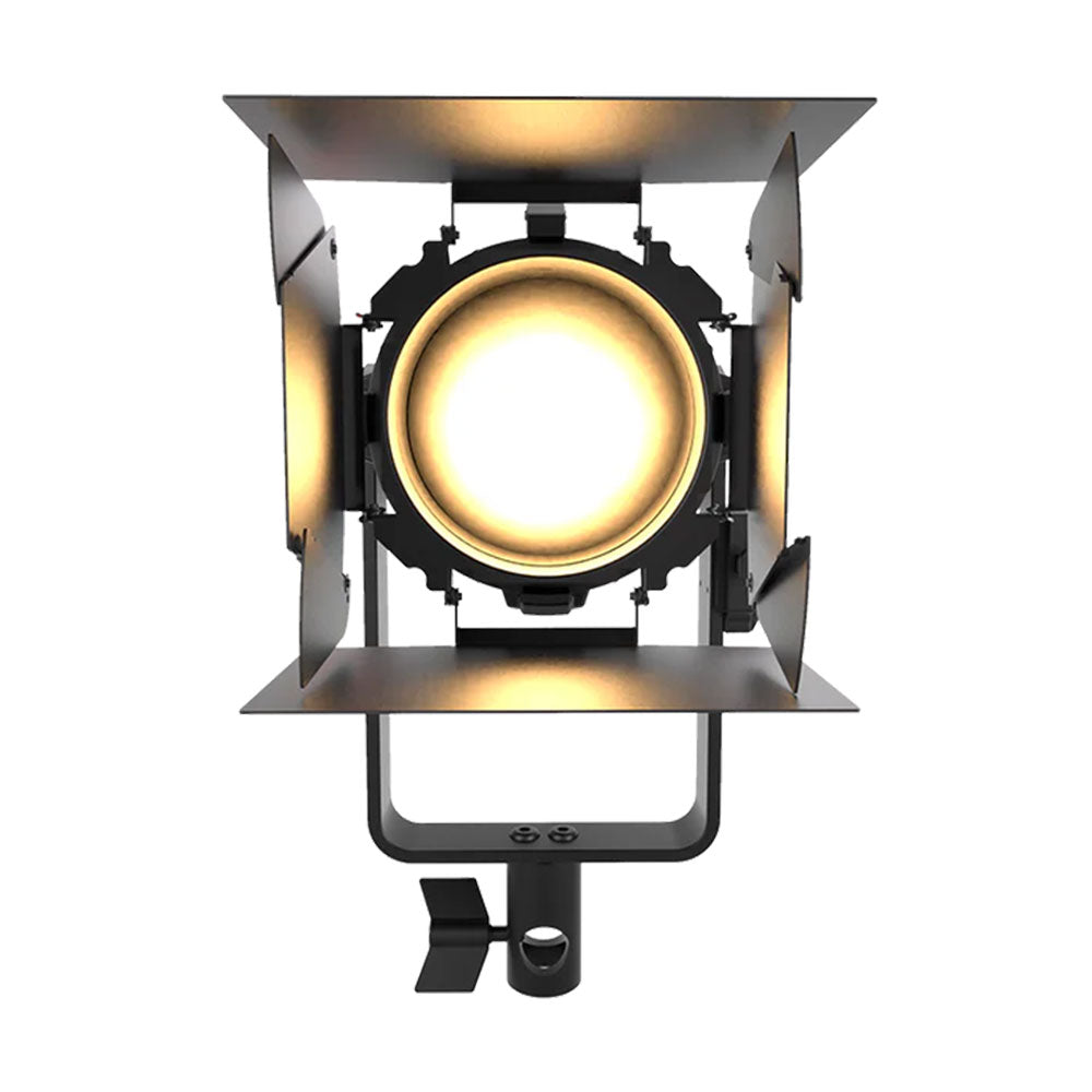 Aputure LS 60x LED Bi-Color Light – Gosselinphoto
