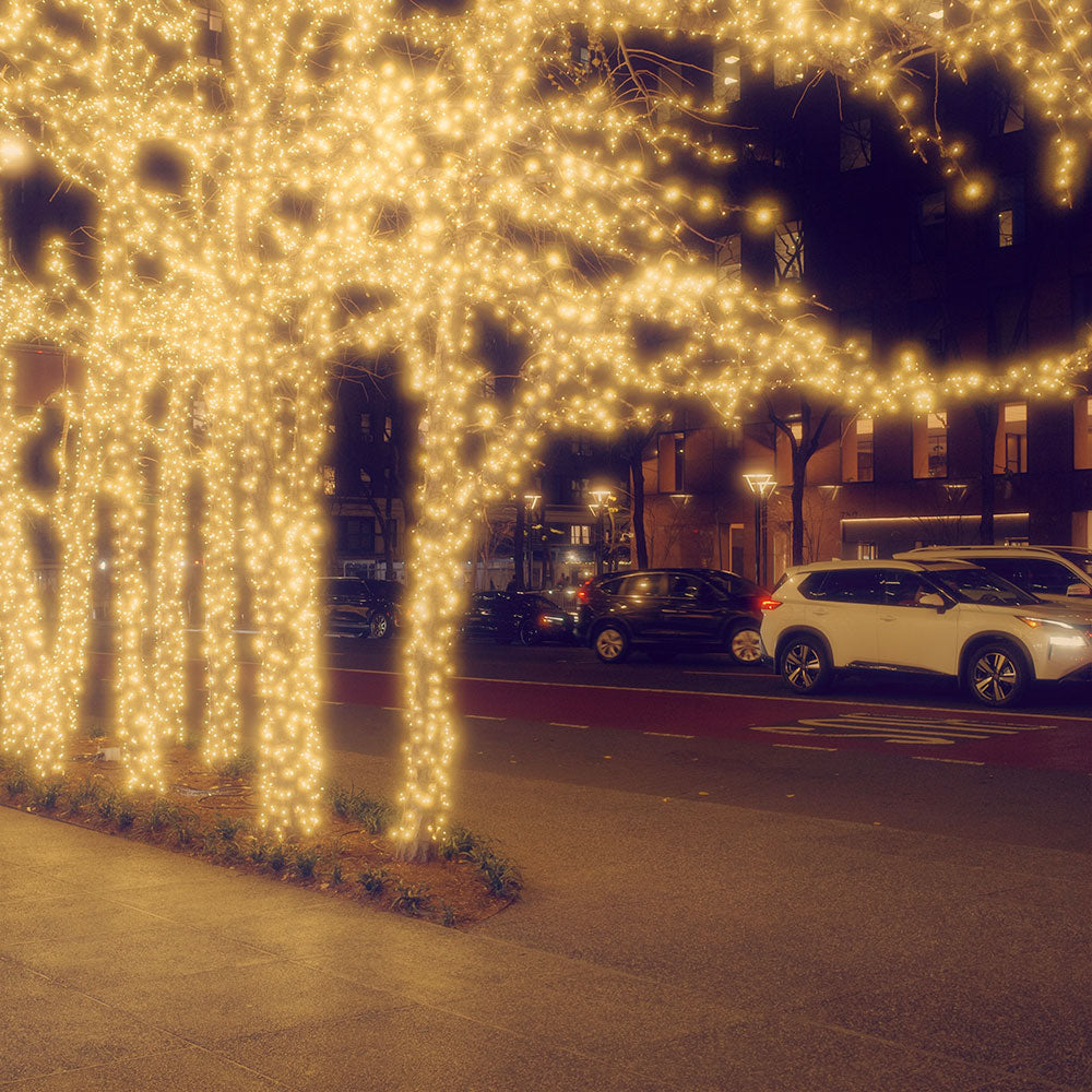 GR IIIx HDF