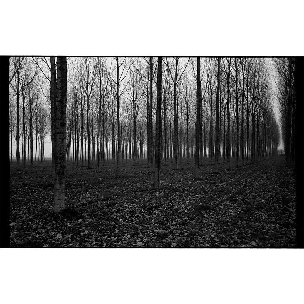Film Noir et Blanc Ferrania P33 (35mm, 36 poses)