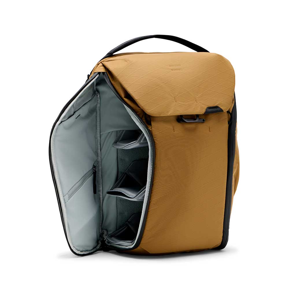 Everyday Backpack 20L V2 (Coyote)