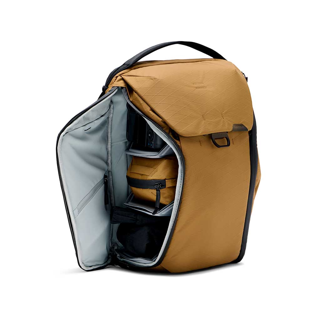 Everyday Backpack 20L V2 (Coyote)