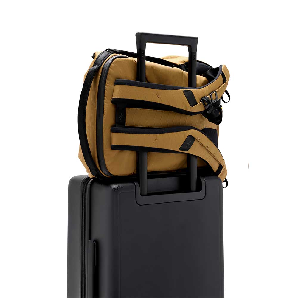 Everyday Backpack 20L V2 (Coyote)