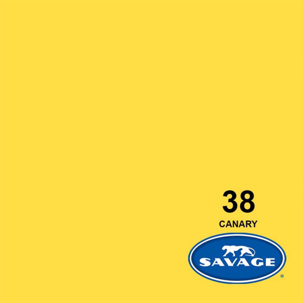 Canary Seamless Background Paper 53" x 36'