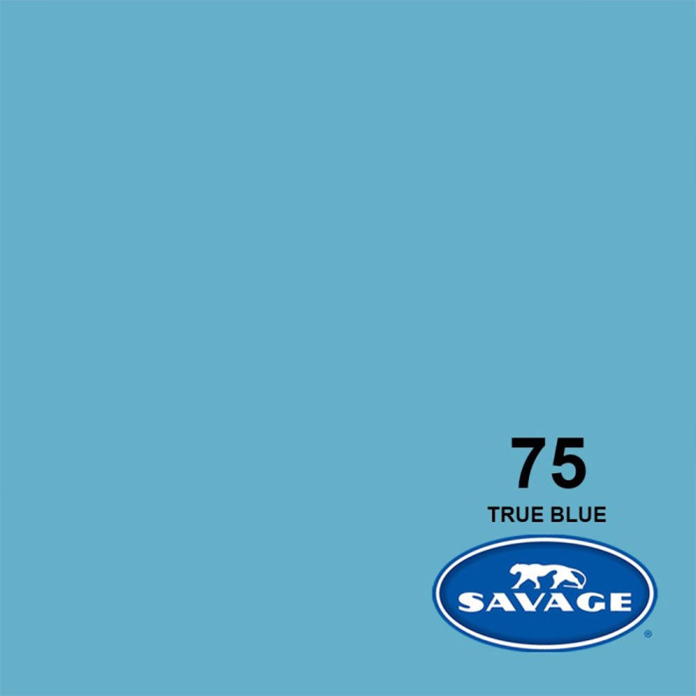 Rouleau de papier 53po x 36pi Bleu Véritable