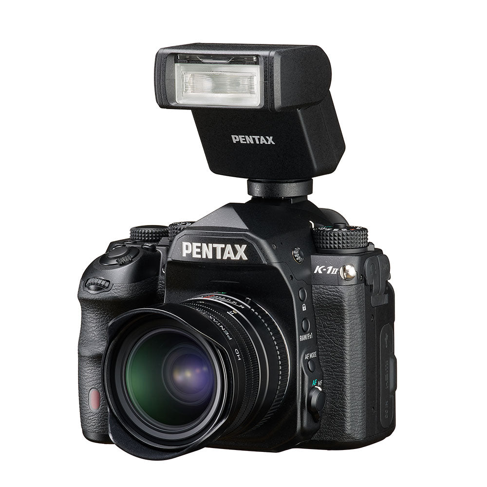 AF180FG Flash with Case