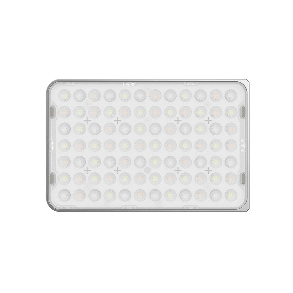 Lumière Ace 25x Bicolore (Argent)