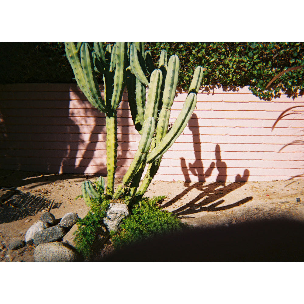Dubblefilm Bubblegum 400 Film (35mm Roll, 36 Exposures)
