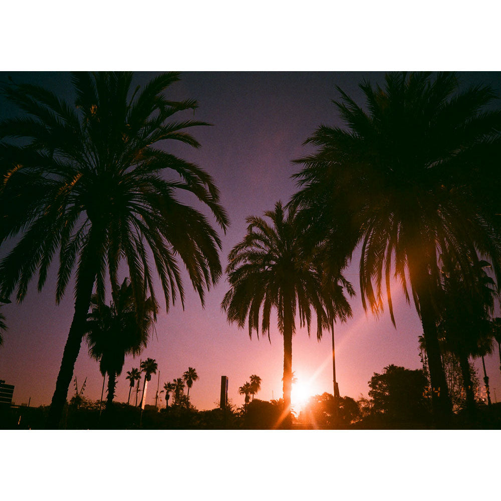 Dubblefilm Bubblegum 400 Film (35mm Roll, 36 Exposures)