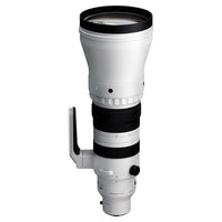 300-600mm f/4 DG OS Sports L Mount