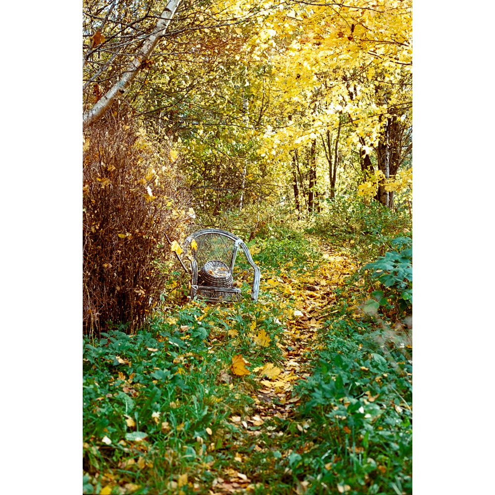Film Couleur Père Noël SantaColor 100 (35mm/36 poses)