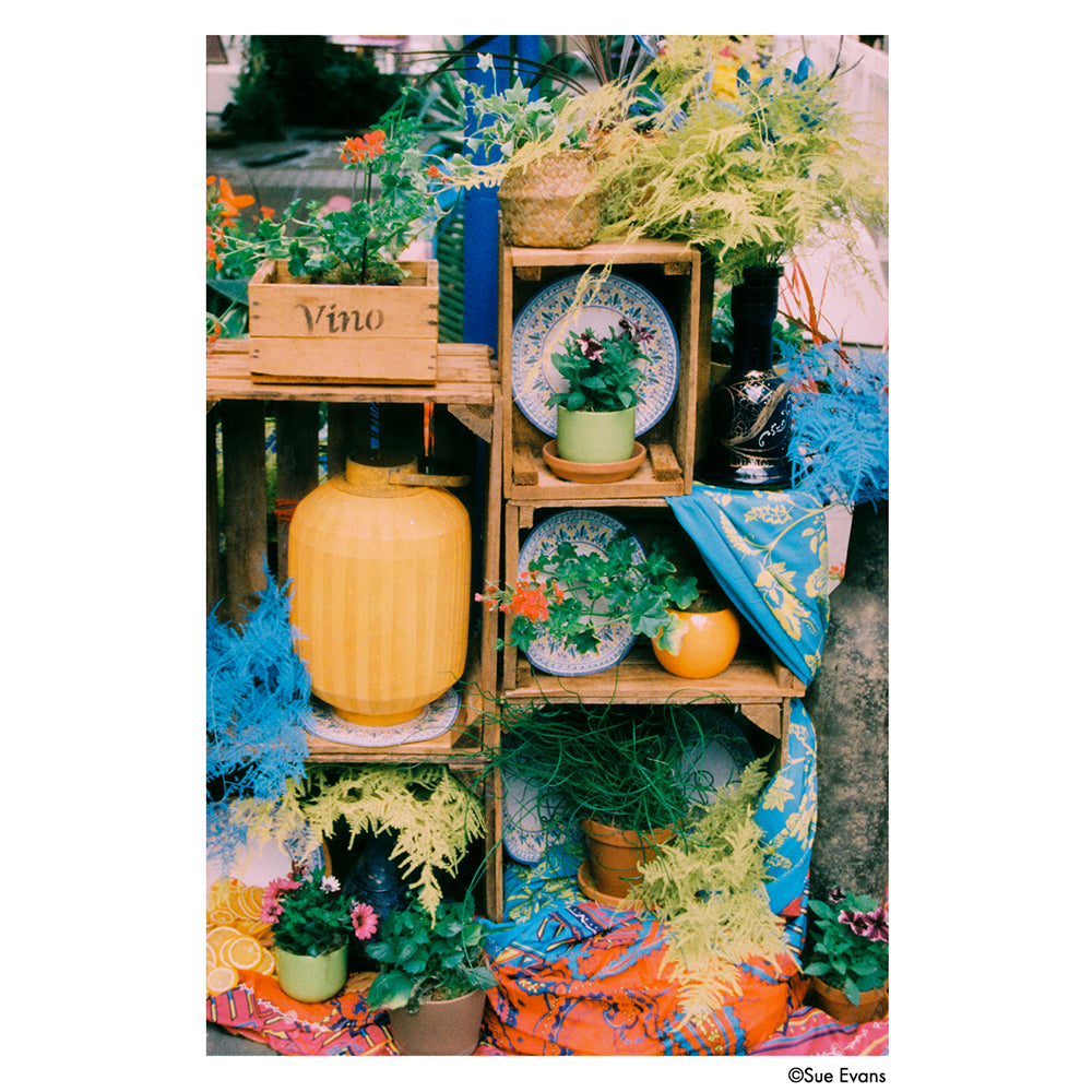 Film Couleur Phoenix II (35mm, 36 poses)