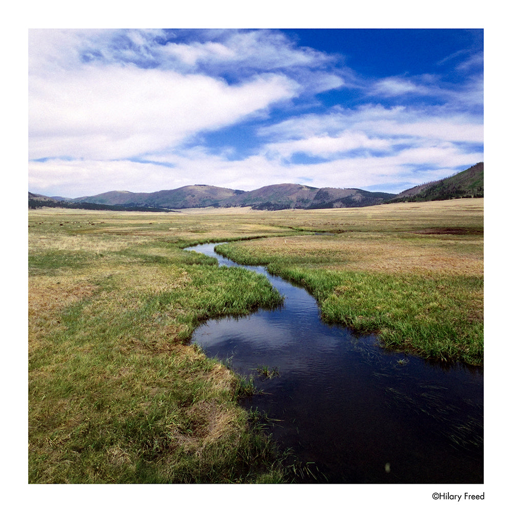 Film Couleur Phoenix II (35mm, 36 poses)