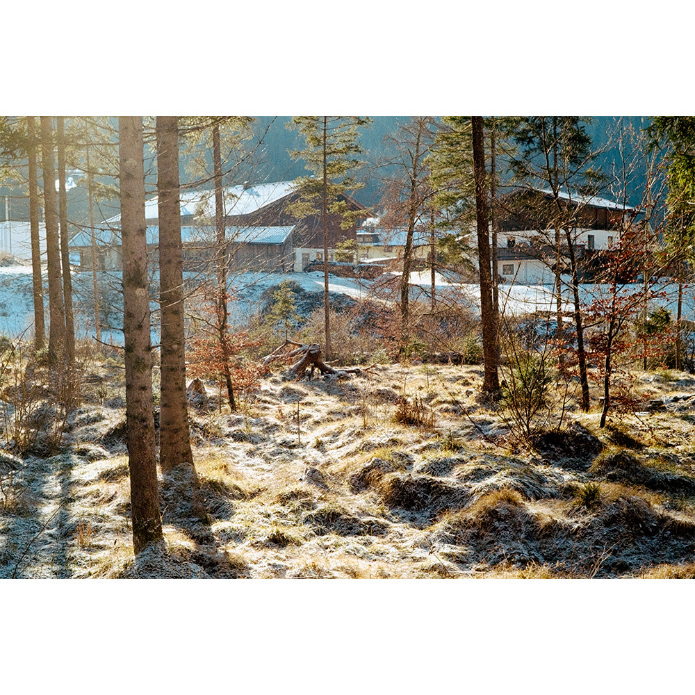 Film Couleur UltraMax 400 (35mm, 36 Poses)