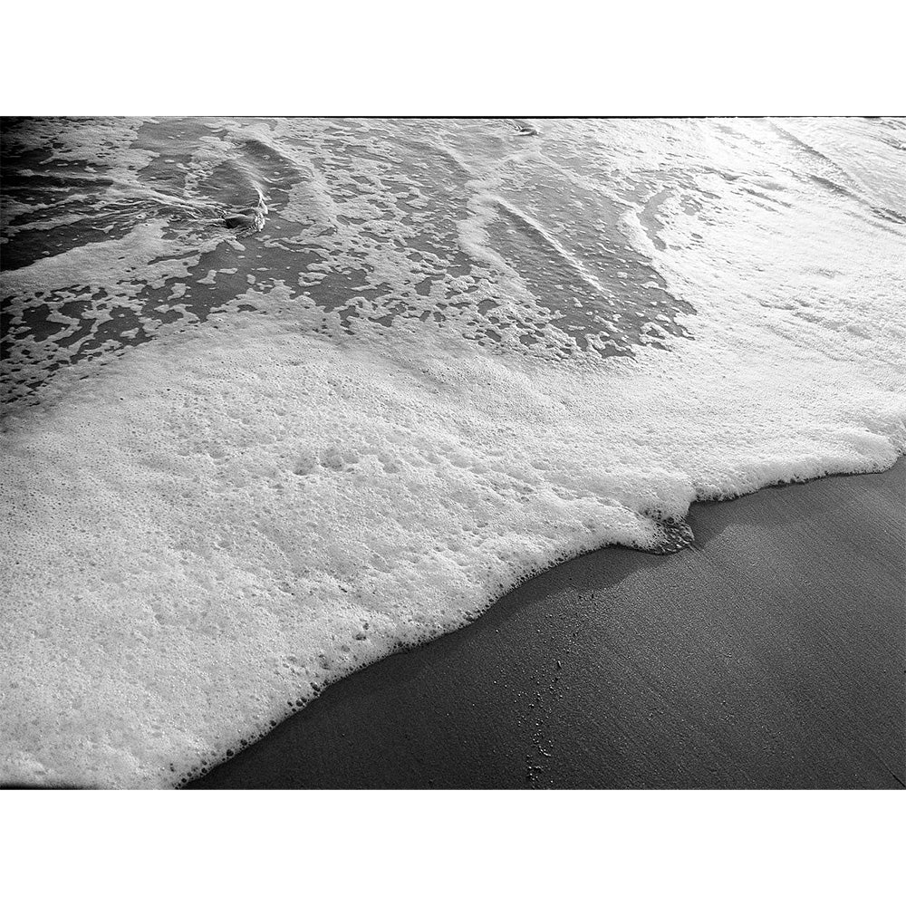 Film Noir et Blanc Pro Tri-X 400 (35mm/24 Poses)