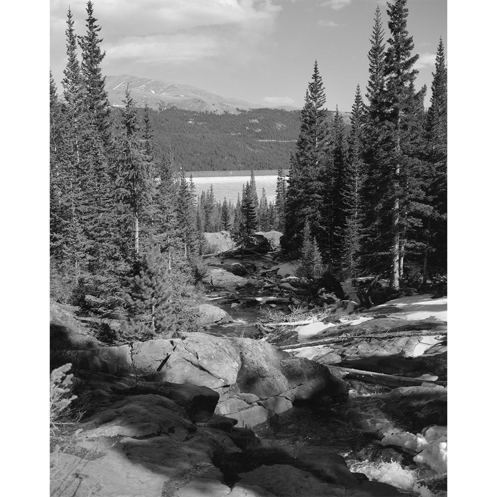 EKTAPAN 100 Black & White Negative Film (4x5, 50 Sheets)