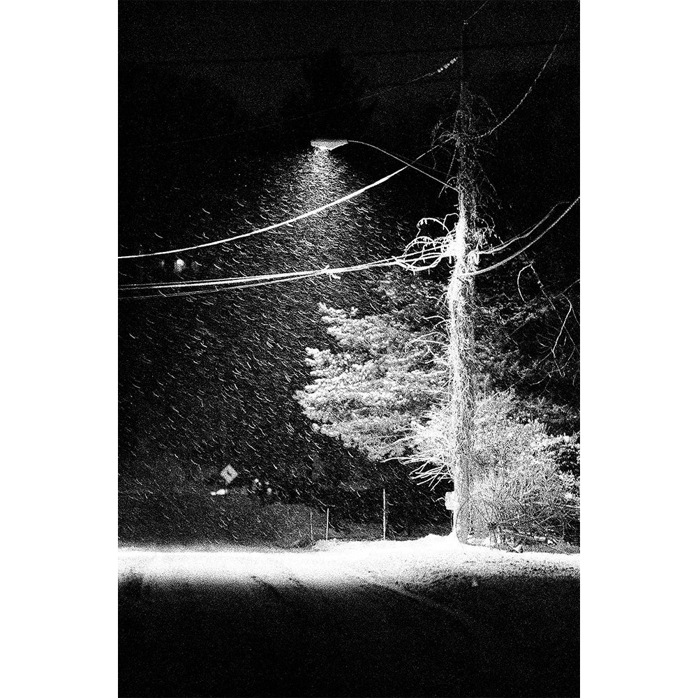 EKTAPAN P3200 Black & White Negative Film (35mm Roll Film, 36 Exposures)