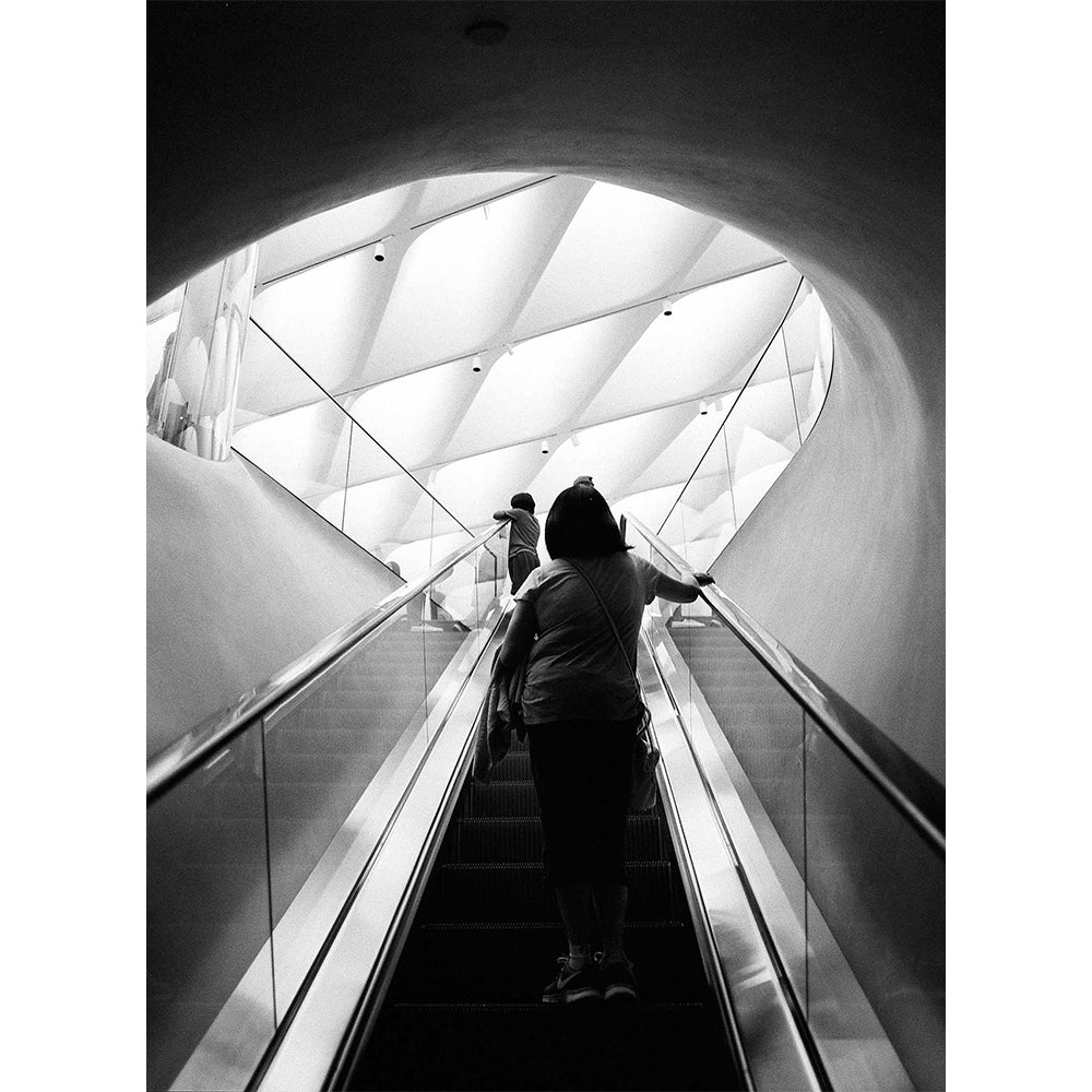 EKTAPAN P3200 Black & White Negative Film (35mm Roll Film, 36 Exposures)