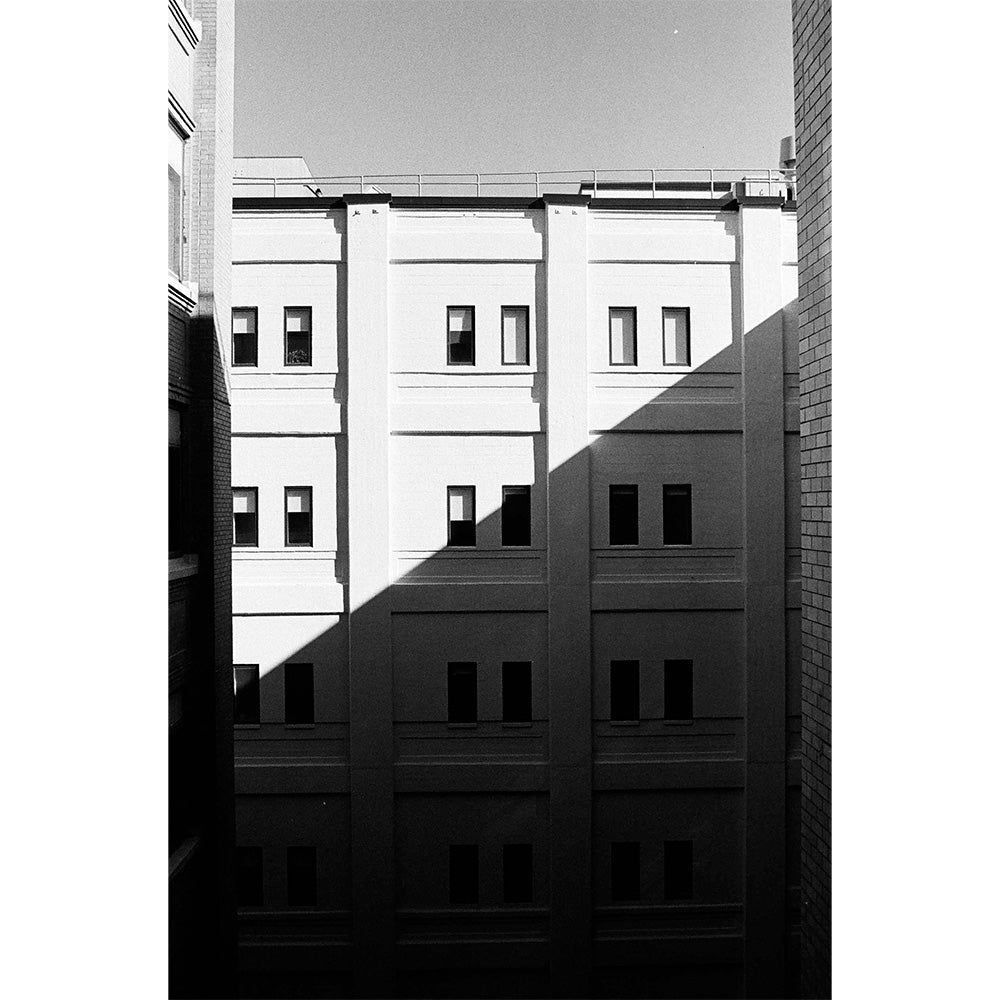 Professional Tri-X 320 Black and White Negative Film (4x5, 10 Sheets)