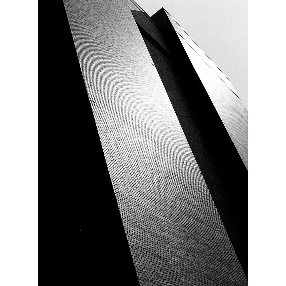 Professional Tri-X 320 Black and White Negative Film (4x5, 10 Sheets)