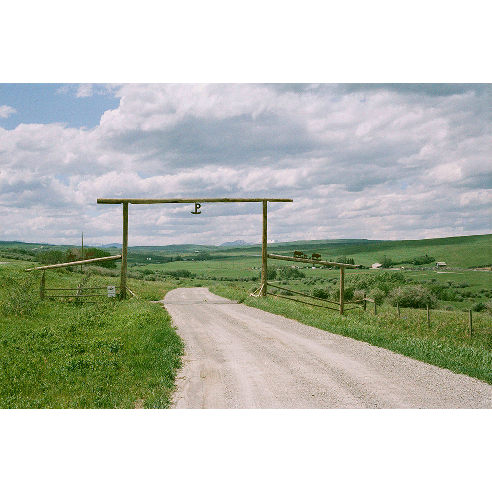 Fusion 200 Color Film (35mm Roll Film, 36 Exposures)