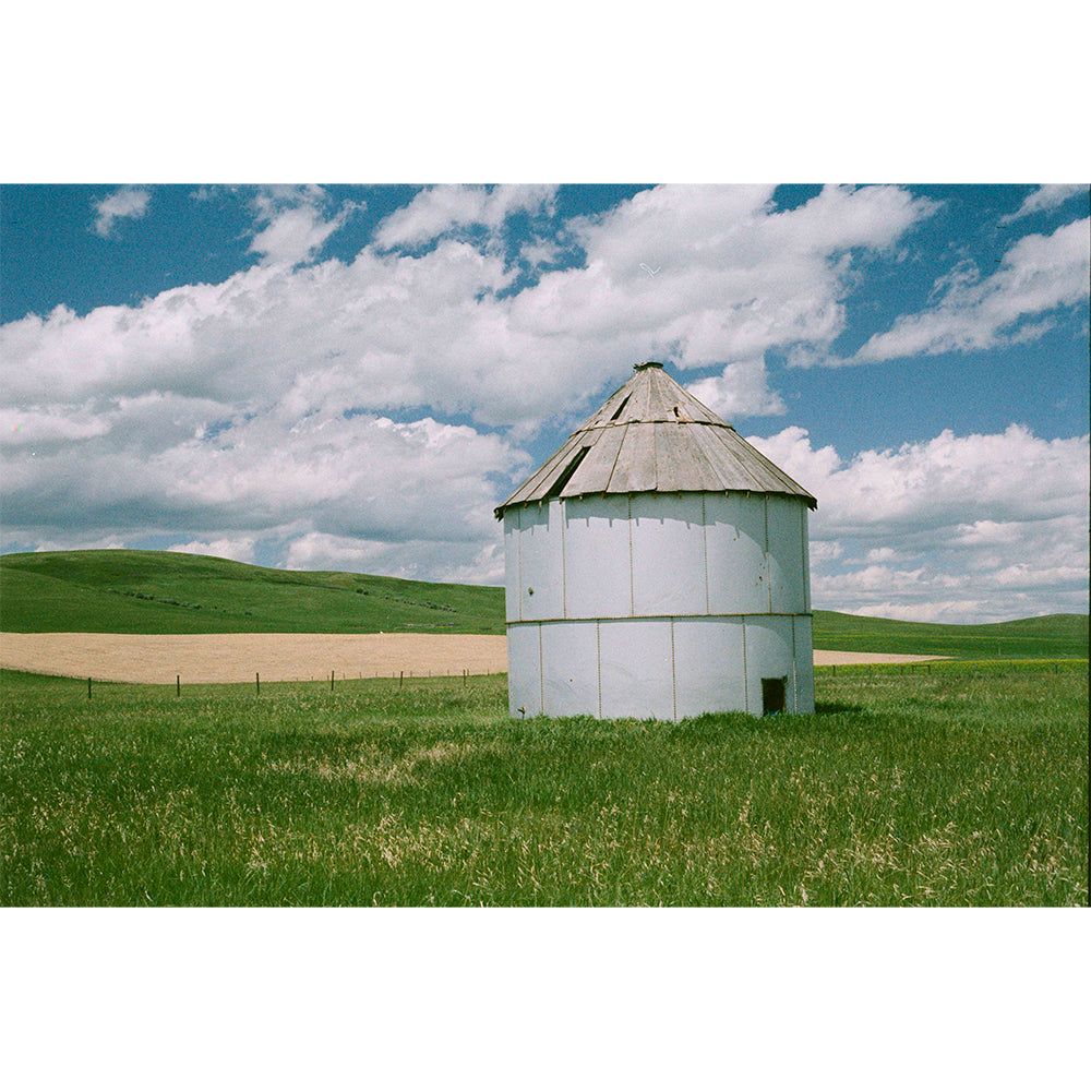 Fusion 200 Color Film (35mm Roll Film, 36 Exposures)
