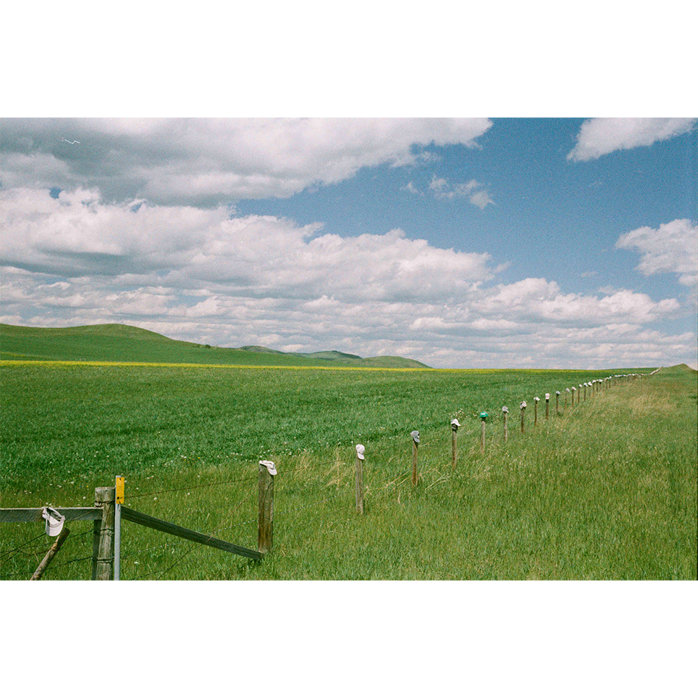 Fusion 200 Color Film (35mm Roll Film, 36 Exposures)