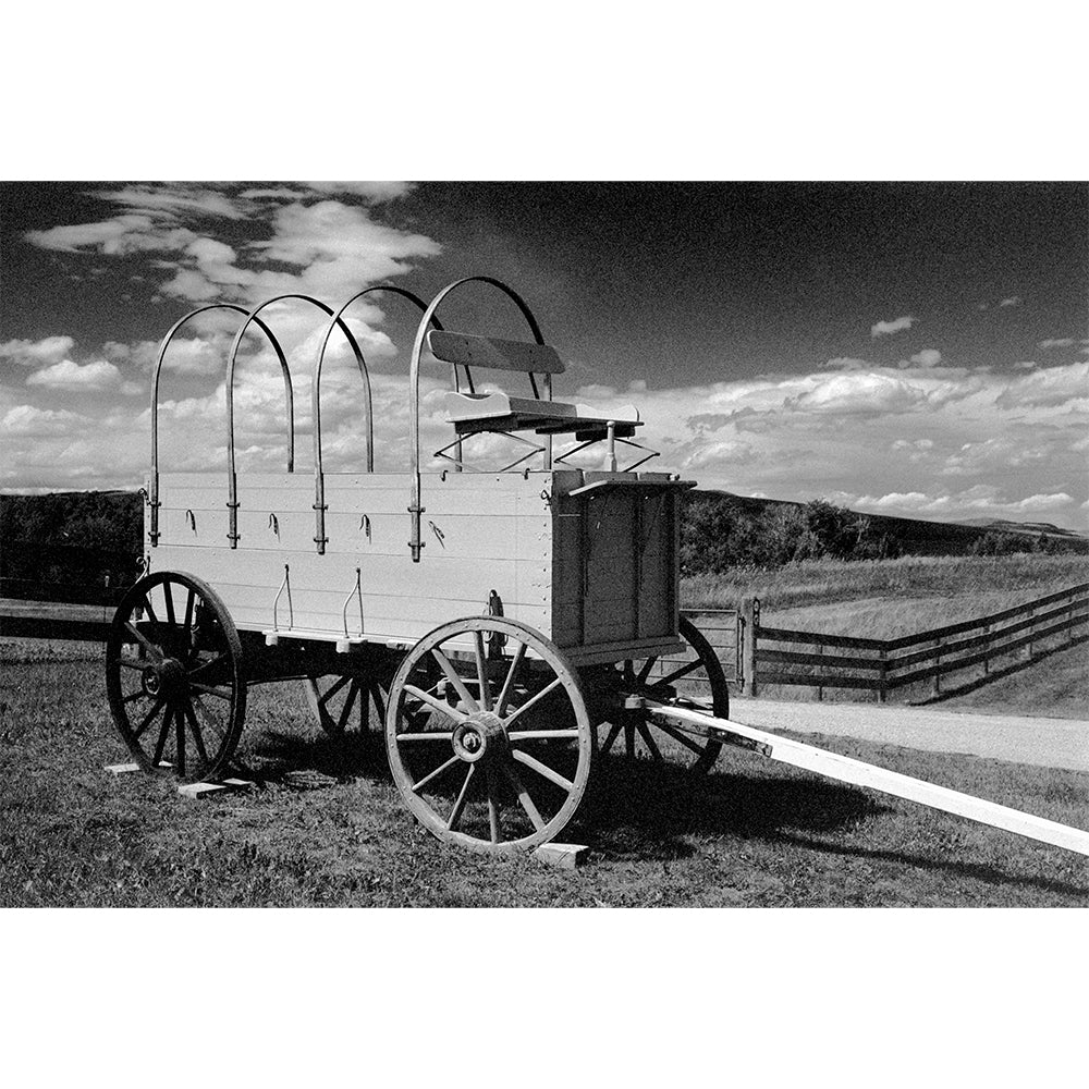 Wolfen 100 Black and White Film (35mm Roll Film, 36 Exposures)