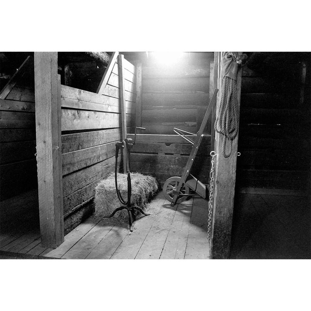 Wolfen 100 Black and White Film (35mm Roll Film, 36 Exposures)