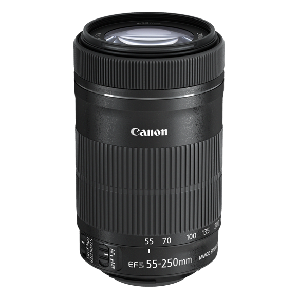 USAGE (8) - Canon EF-S 55-250mm IS STM