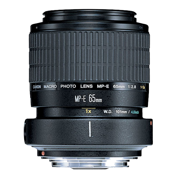 USAGE (8) - Canon MP-E 65mm f/2.8 1-5x