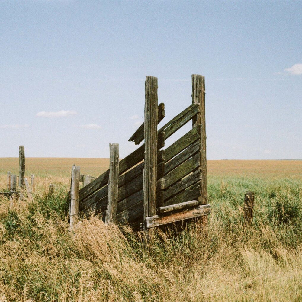 Nostalgic 400 Color Film (35mm Roll, 36 Exposures)